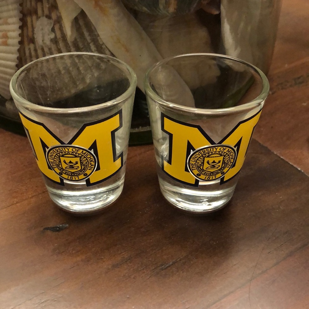 University of Michigan shot glasses lot of 2